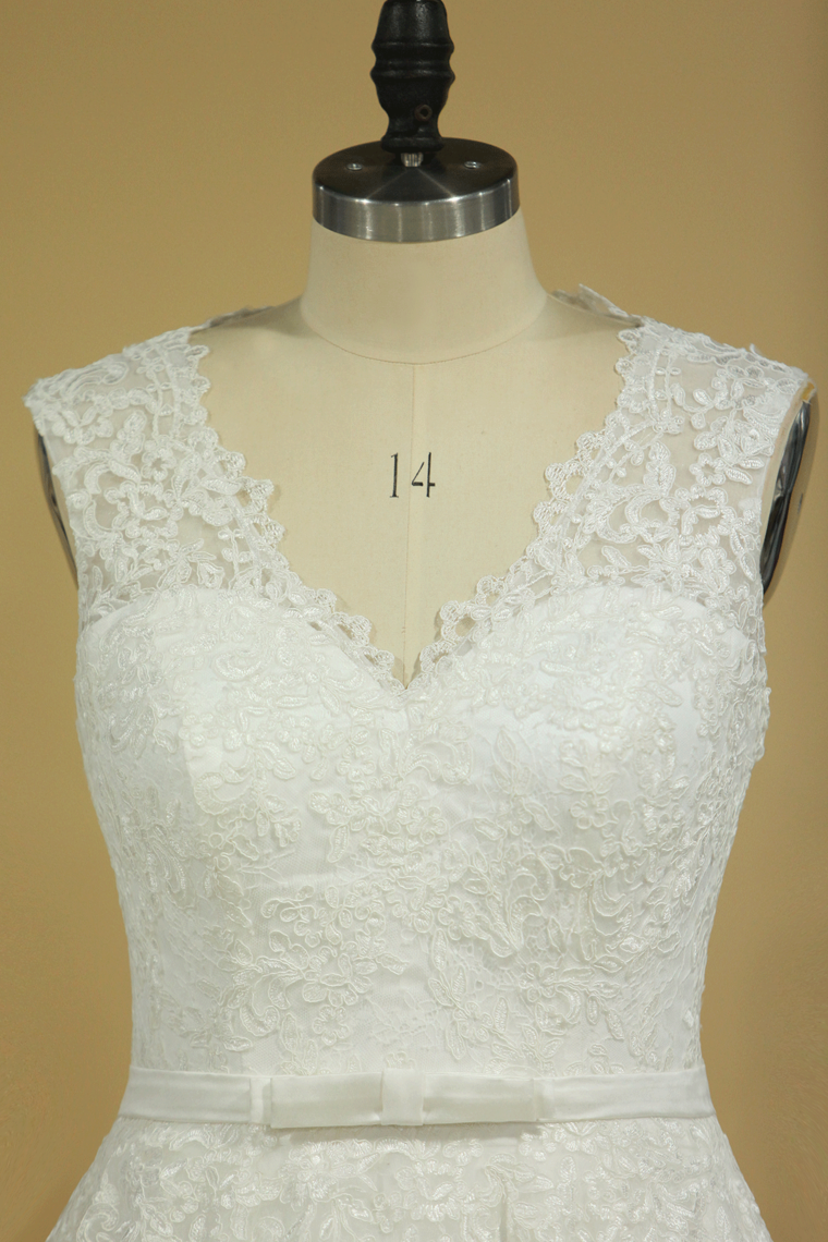 Plus Size V-Neck Wedding Dresses A-Line Court Train Tulle With Applique & Belt Covered Button