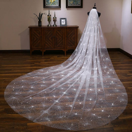 One-Layer Women White Trailing Long Wedding Veil