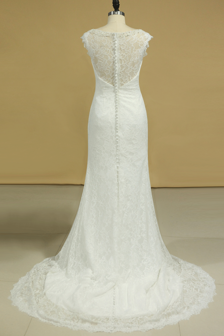 Lace Wedding Dresses Sheath V-Neck Court Train Beaded Neckline