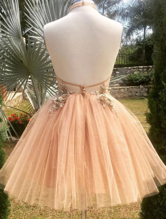 Champagne High Neck Tulle Lace Homecoming Dresses Myla Short Dress Tulle Formal Dress CD12654