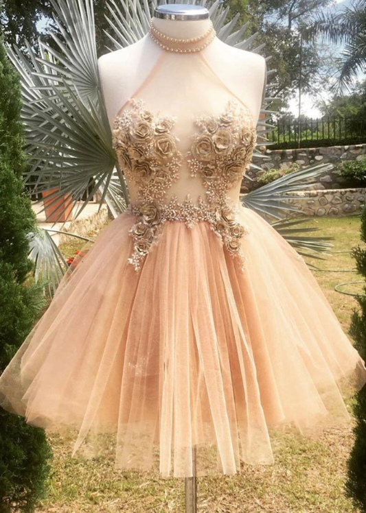 Champagne High Neck Tulle Lace Homecoming Dresses Myla Short Dress Tulle Formal Dress CD12654