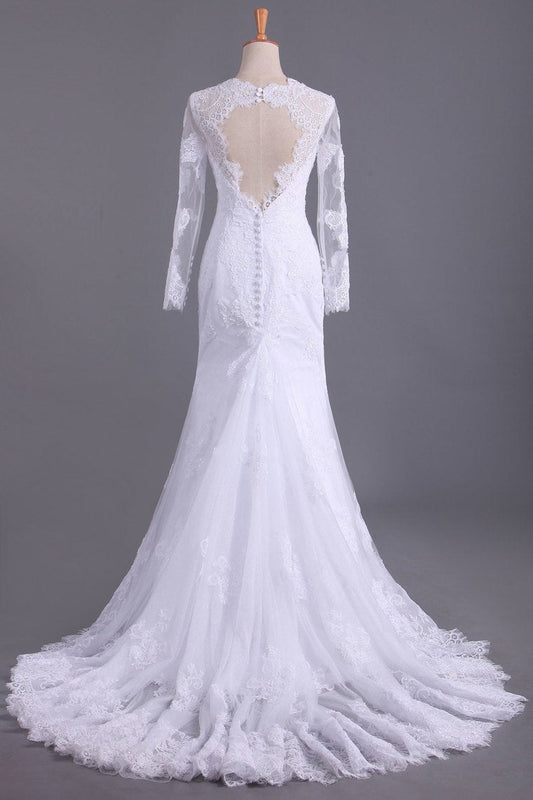 Long Sleeves V Neck Open Back Wedding Dresses Tulle With Applique Sheath